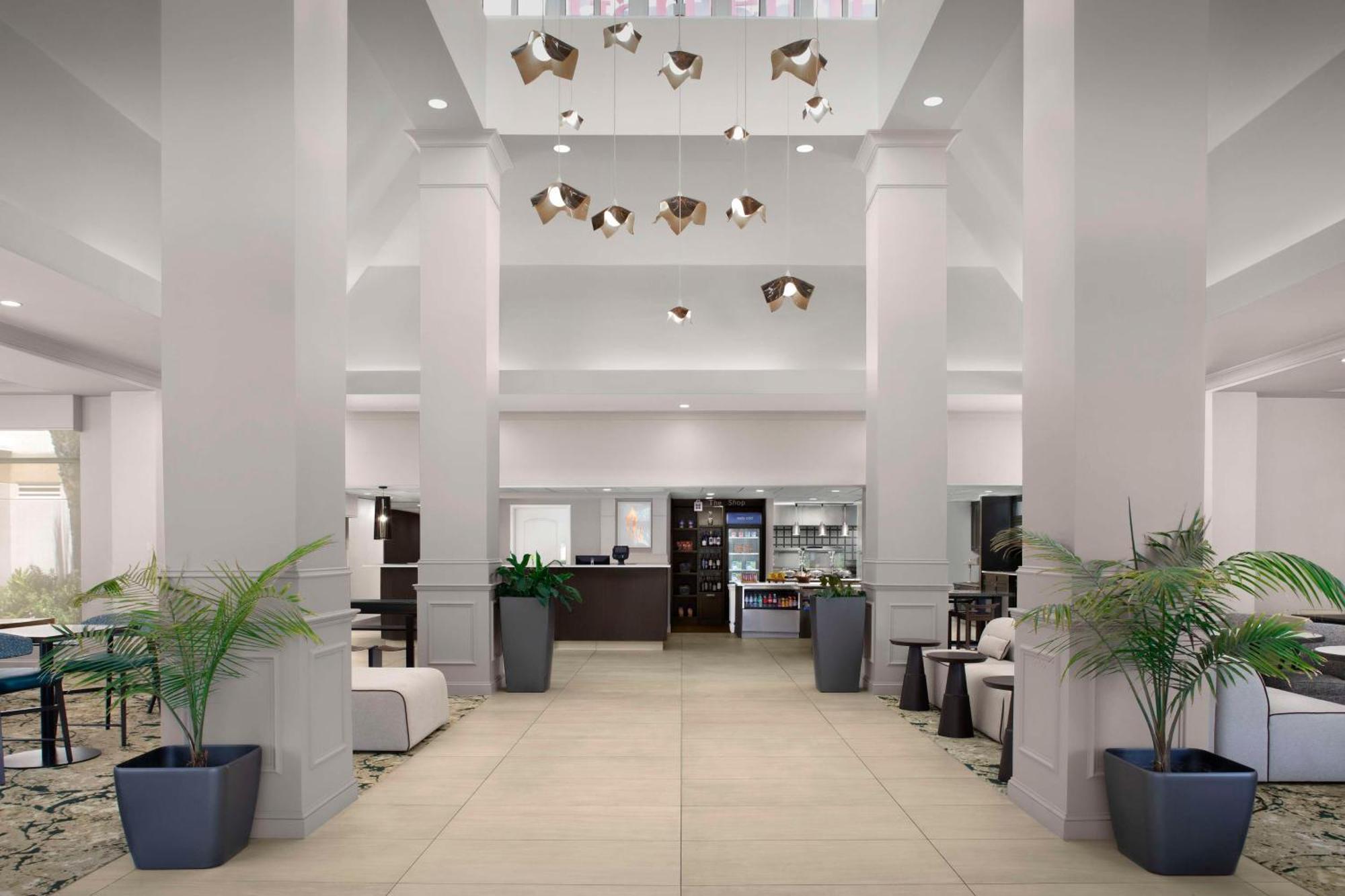 Hilton Garden Inn Gainesville Eksteriør bilde