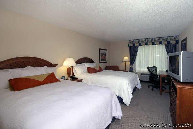 Hilton Garden Inn Gainesville Rom bilde